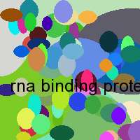 rna binding protein